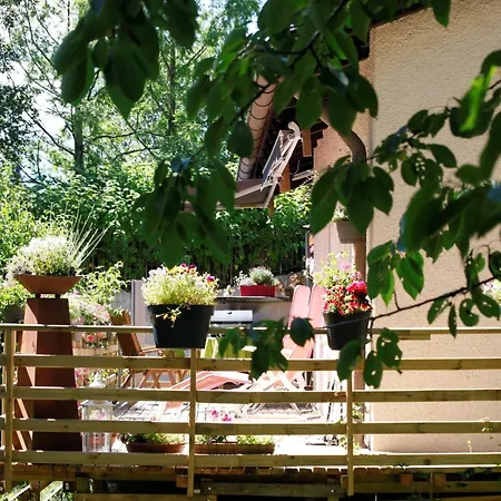 Haus 6